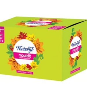 Fevicryl Mould It Clay 90gm