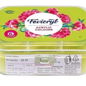 Pidilite Fevicryl Acrylic Colours 6 Shades